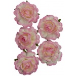 Rozes 3,8 cm - Jubilee roses White/Pink