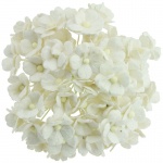 Blossom Flowers midi - White